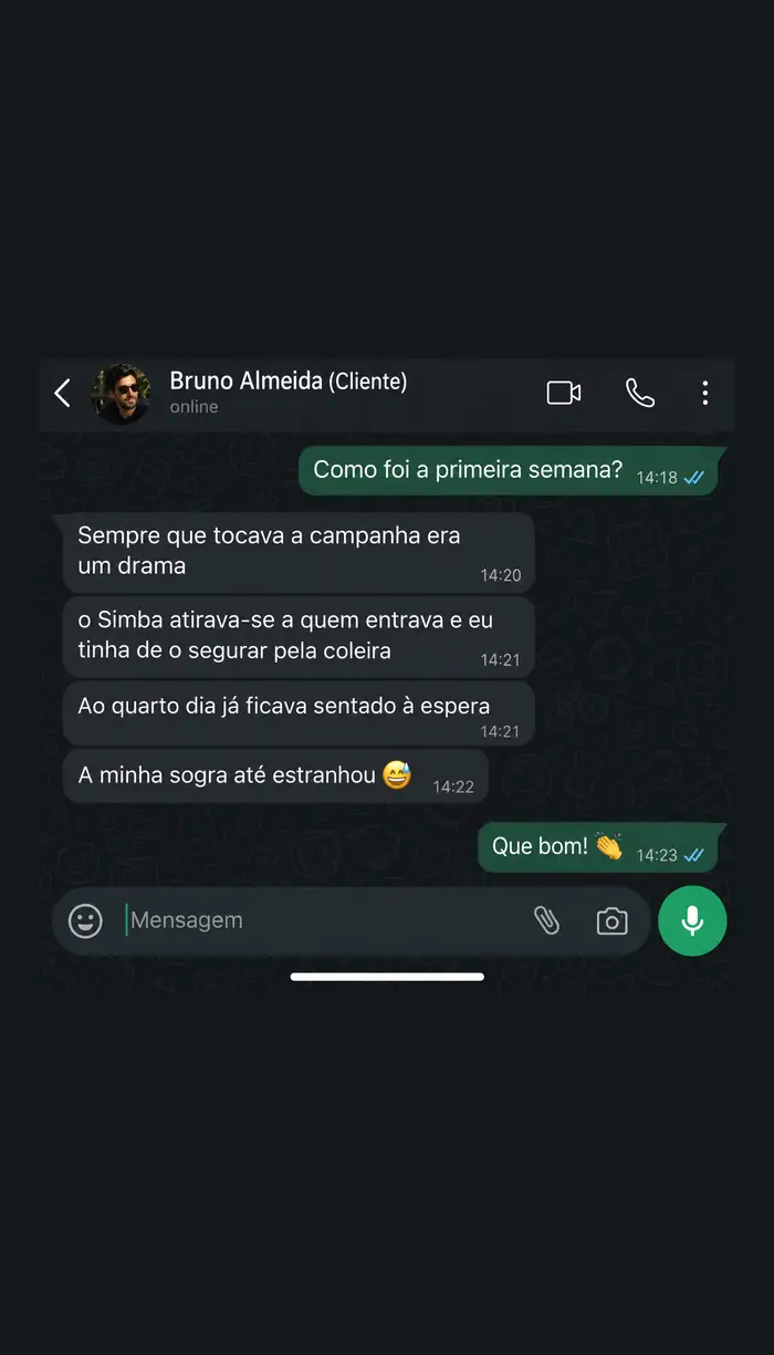 Conversa com Bruno Almeida